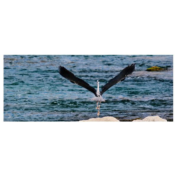 PHOTO84, CLUB, 84 , LUBERON